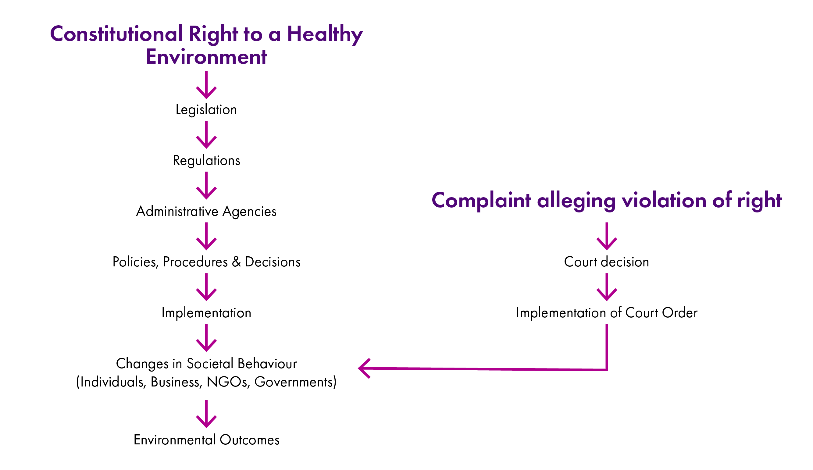 Flowchart detailing sequence of events from a constitutional environmental right to environmental outcomes.