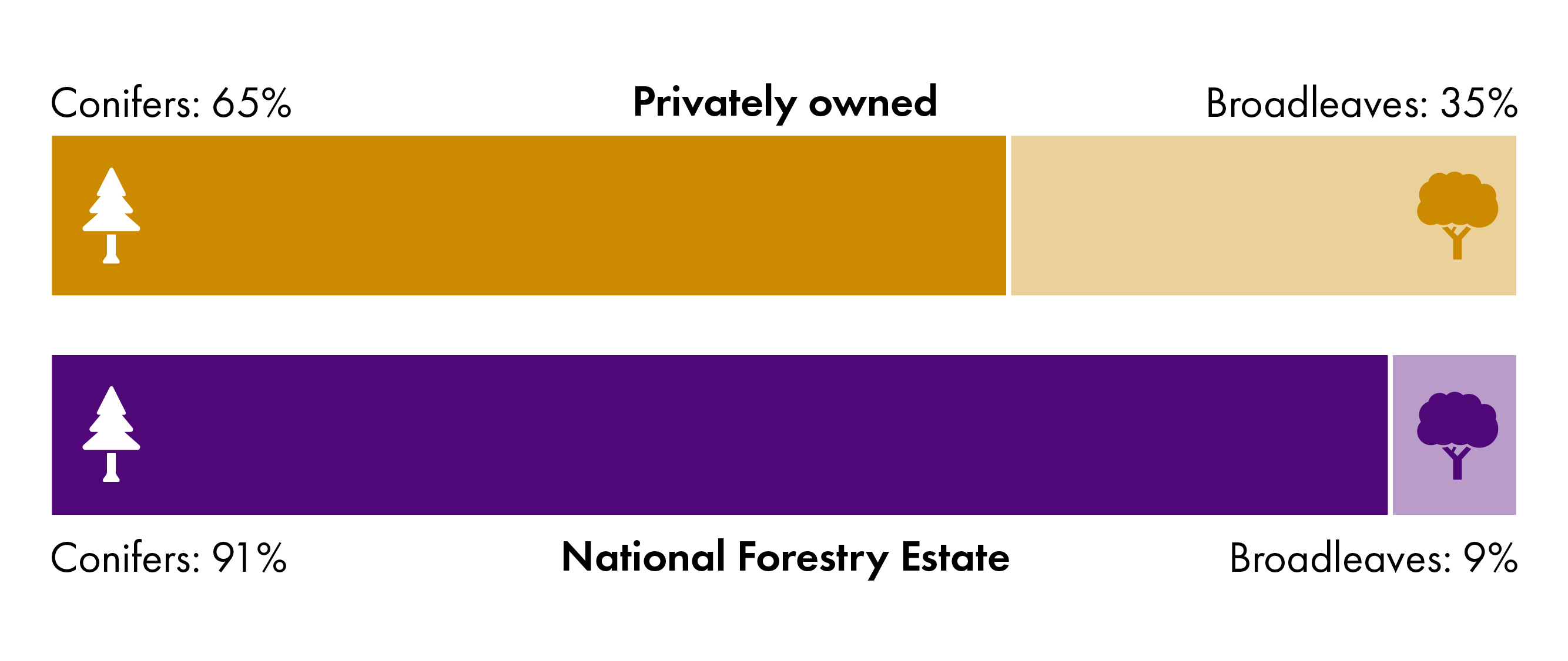91% of Scotland's National Forest Estate woodlands are conifers with broadleaved species at 9%