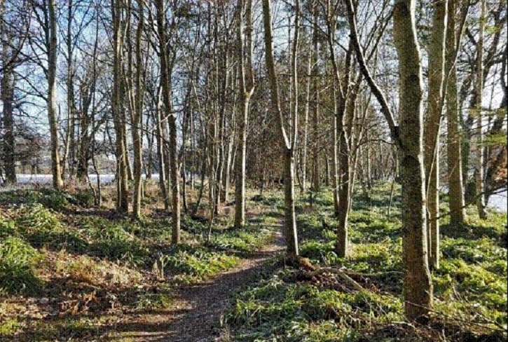 Peebles Community Trust has purchased Eshiels woodlands, and is improving biodiversity, and sustainable productive management through community ownership and partnership