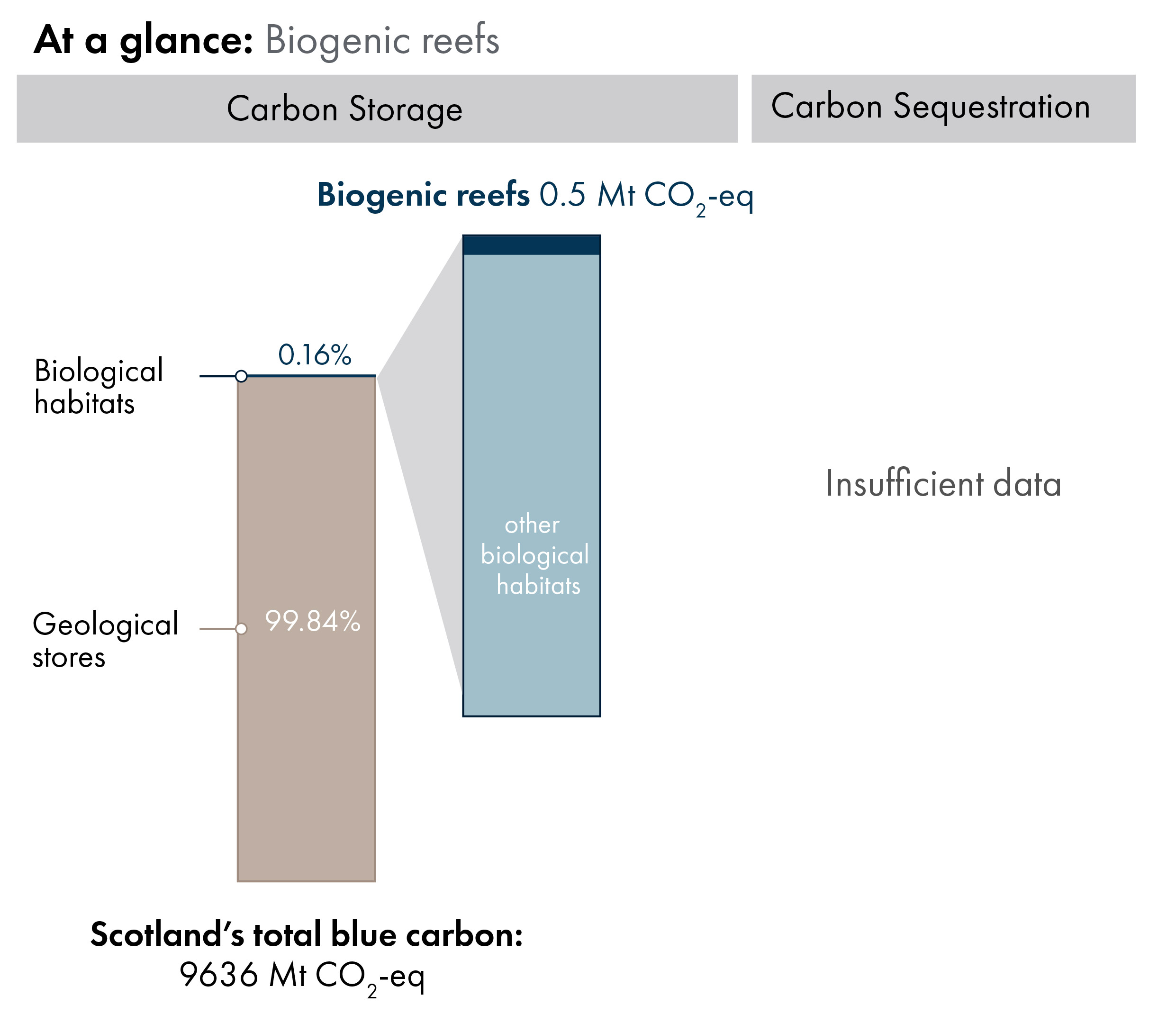 Bar charts showing the proportion of Scotland's blue carbon which is in geological stores (99.84%) versus carbon in biological habitats and species (0.16%). Inset bar chart shows the proportion of carbon in biological habitats which is biogenic reef carbon storage (0.5 megatonnes of carbon dioxide equivalent).
