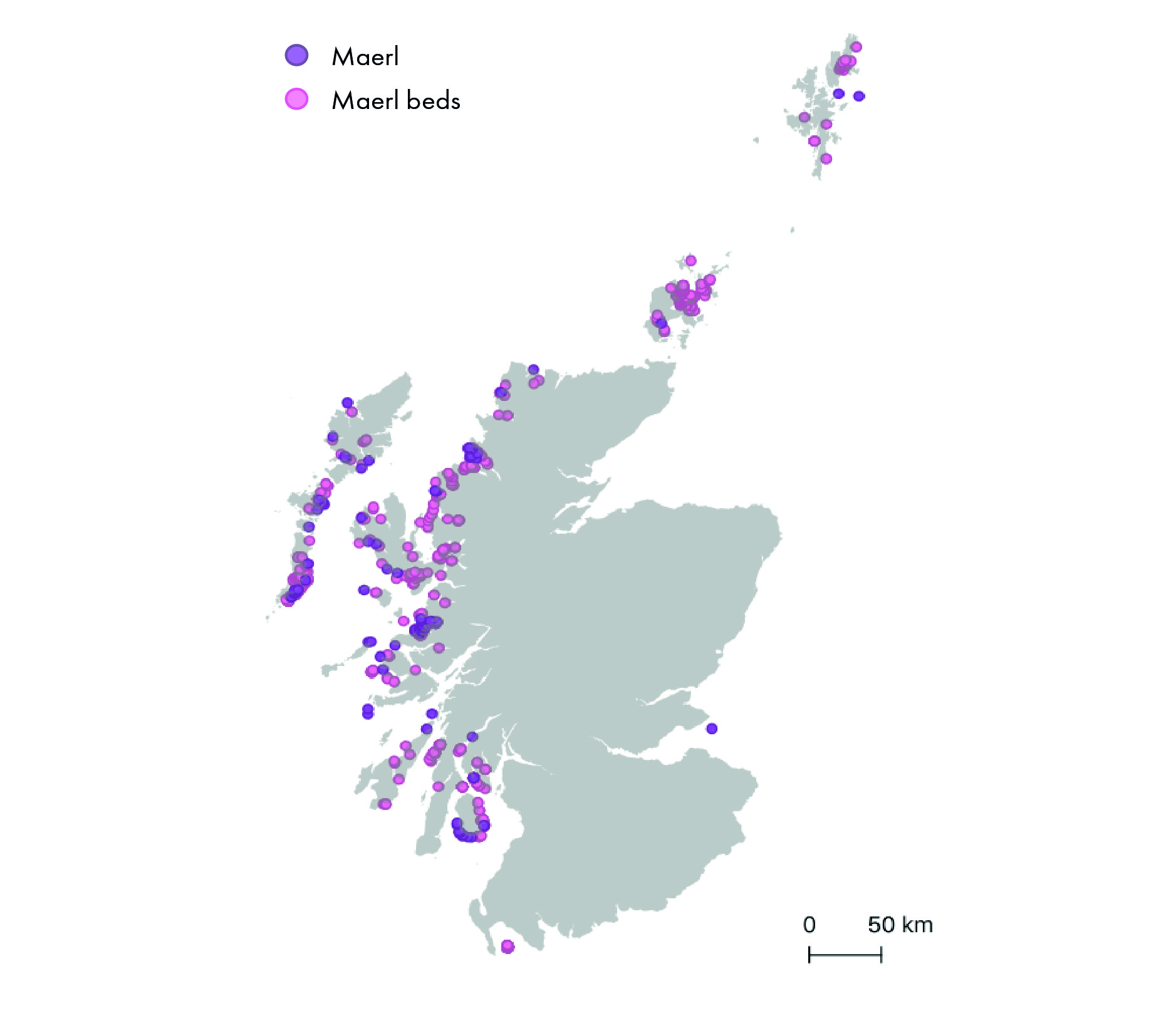 Map of Scotland showing points where records of maerl and maerl beds have been observed in the Geodatabase of Marine features adjacent to Scotland (GeMS) (V9i25).