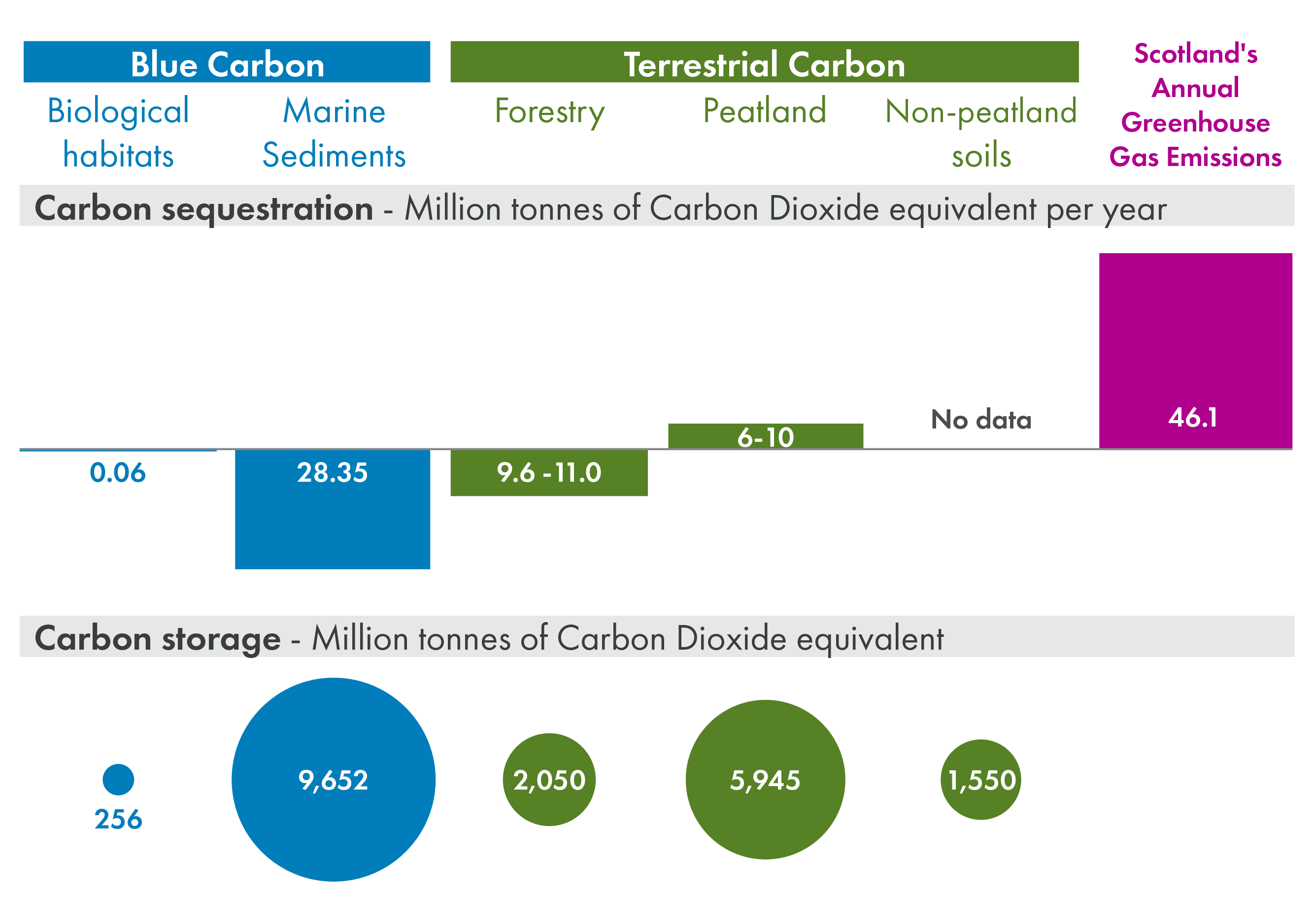Infographic showing the carbon stored and annually sequestered (in megatonnes of carbon dioxide equivalent per year) in Scotland's blue carbon, split into biological habitats and marine sediments, and Scotland's terrestrial carbon, split into forestry, peatland and non-peatland soils. This is shown alongside Scotland's annual greenhouse gas emissions. Scotland’s blue carbon environments store 9,636 megatonnes of carbon dioxide equivalent, which exceeds the carbon stored in Scotland’s land-based ecosystems megatonnes of carbon dioxide