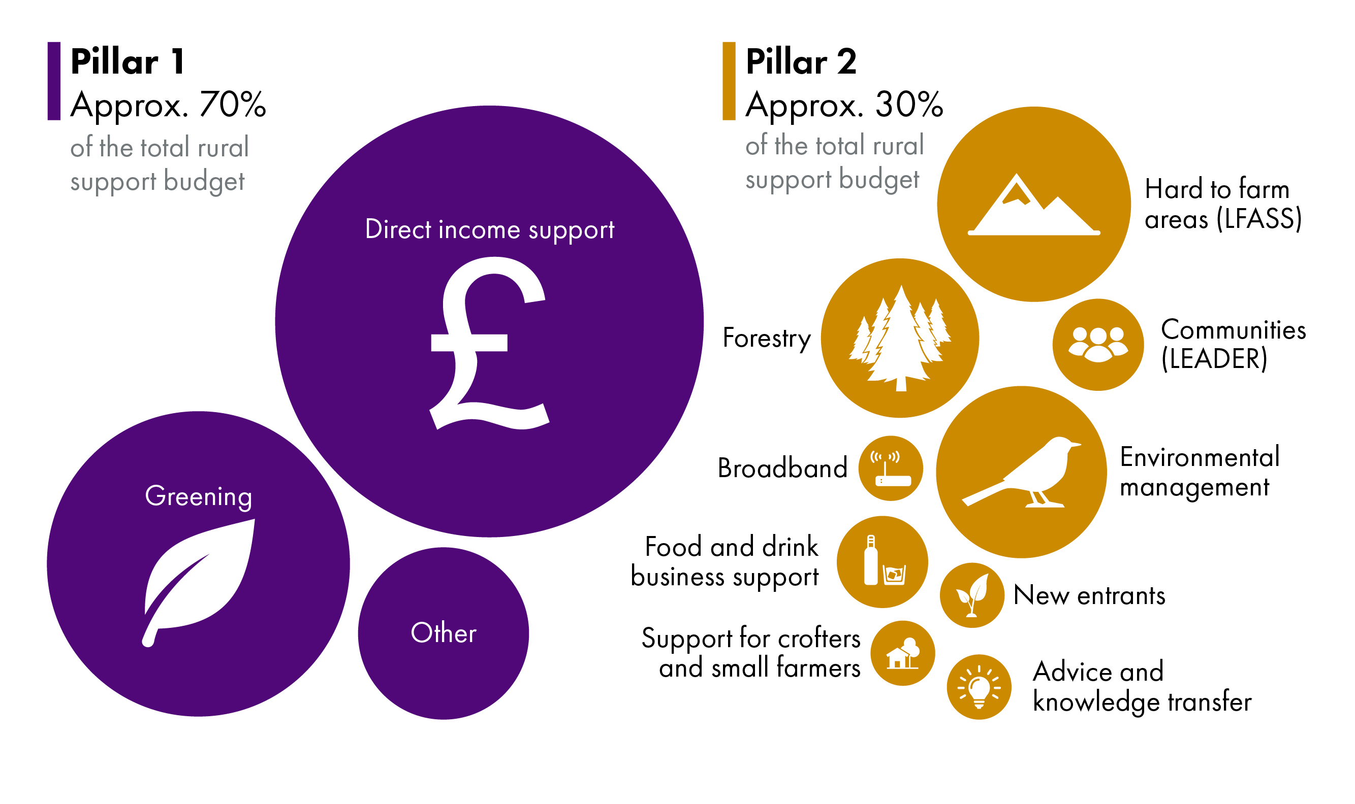There are several different schemes under the Common Agricultural Policy in Scotland. In Pillar 1, the majority of funding goes to income support, and secondly to greening. In Pillar 2, the largest areas of support are for hard to farm areas, forestry, and environmental management, followed by smaller budgets like food and drink business support and community projects.