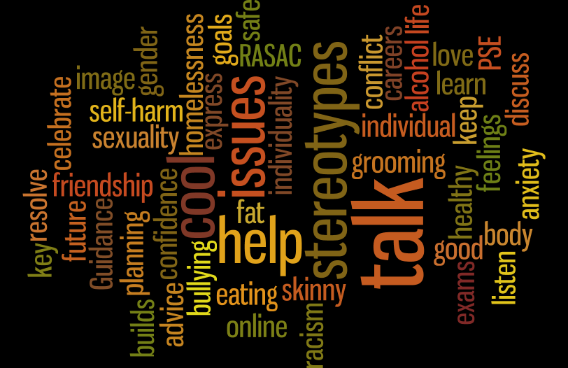 A Wordle representing the views of a PSE class on what PSE should be about.